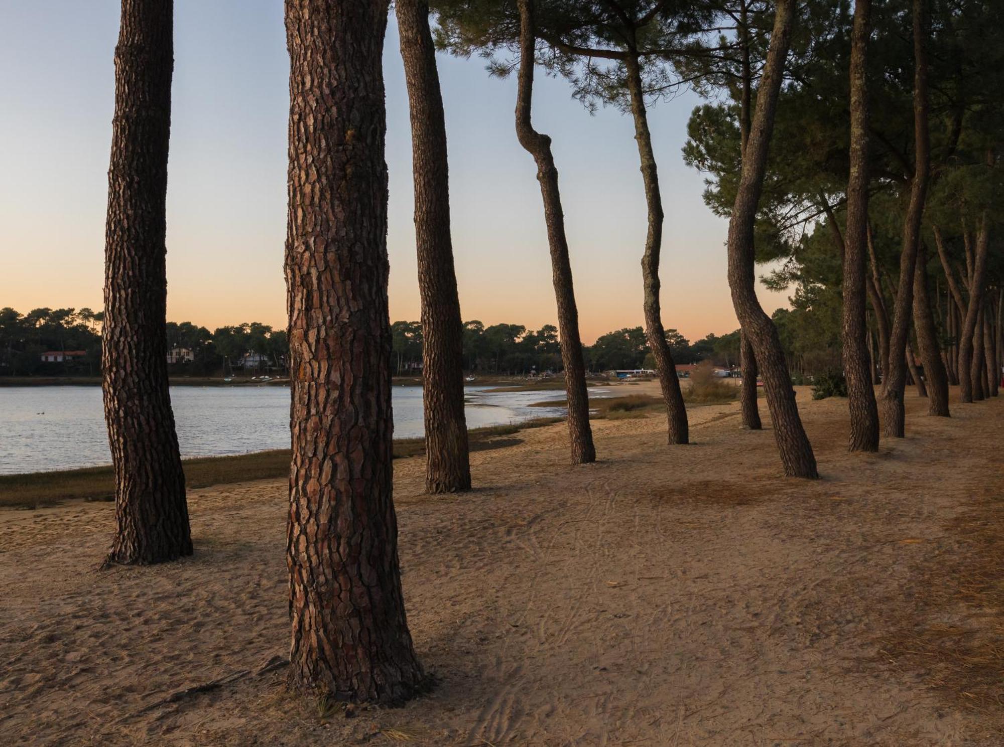 Residence Hoteliere Les Acanthes Soorts-Hossegor Exteriör bild