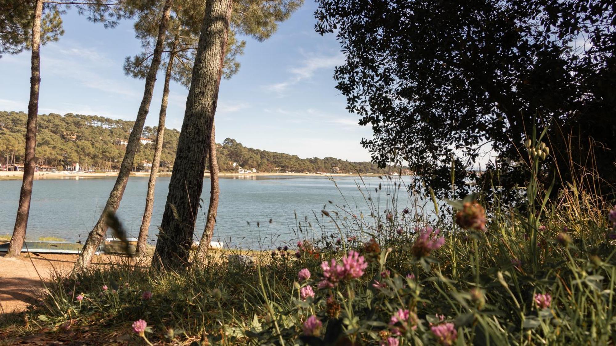 Residence Hoteliere Les Acanthes Soorts-Hossegor Exteriör bild